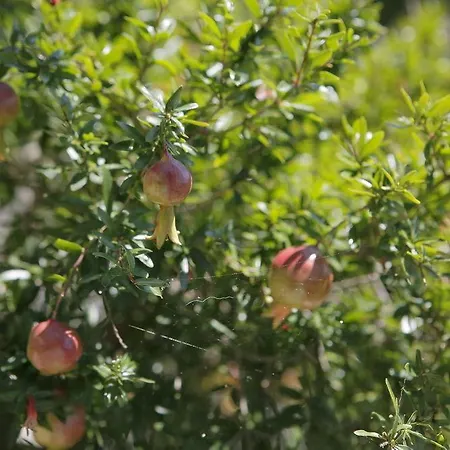 포르타 누오바 호텔 3*