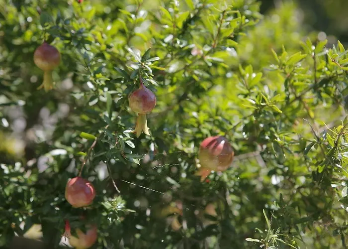 Porta Nuova Hotel 3*